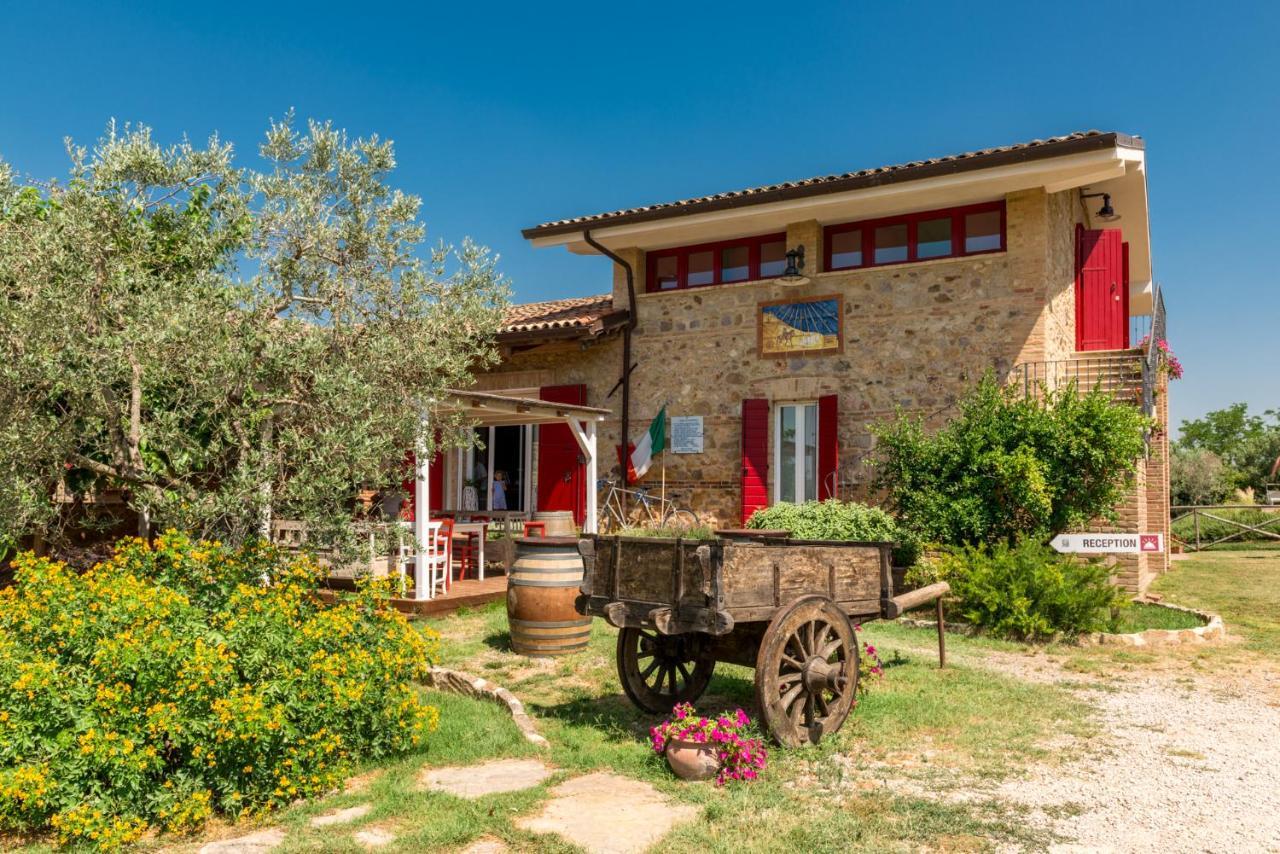 Il Barbagianni Bed and Breakfast Montepescali Exteriör bild