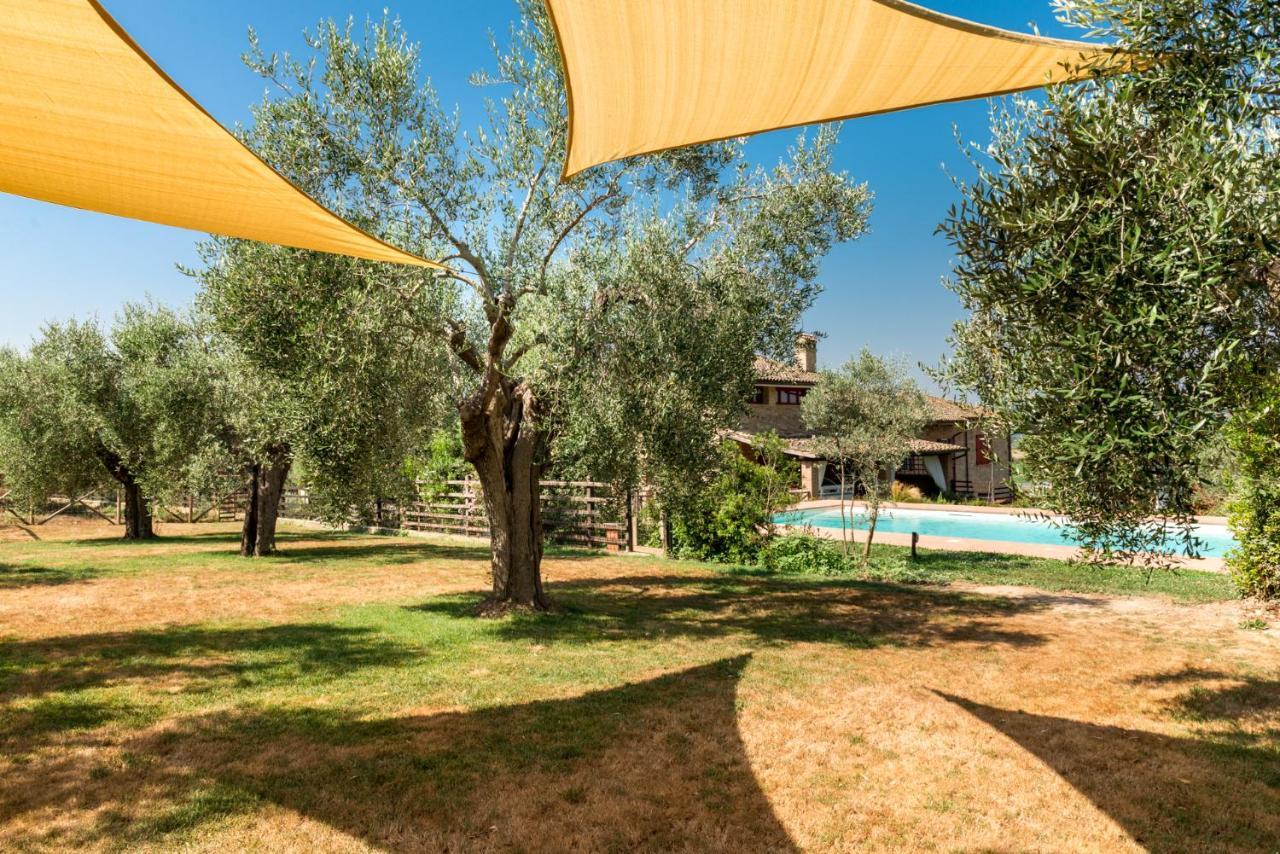 Il Barbagianni Bed and Breakfast Montepescali Exteriör bild