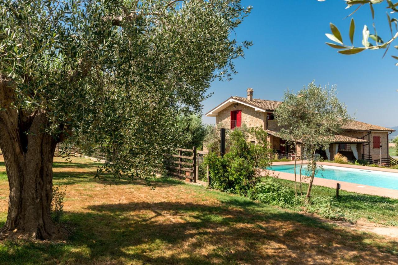 Il Barbagianni Bed and Breakfast Montepescali Exteriör bild